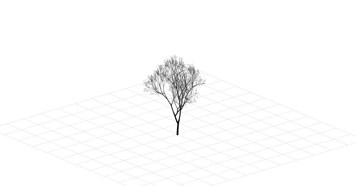 L-System Tree